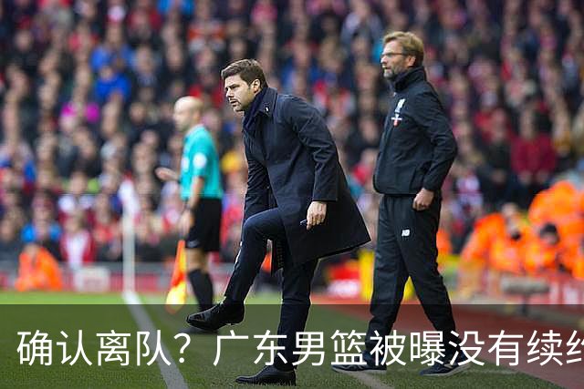 确认离队？广东男篮被曝没有续约杜锋，新主教练人选正式曝光！
